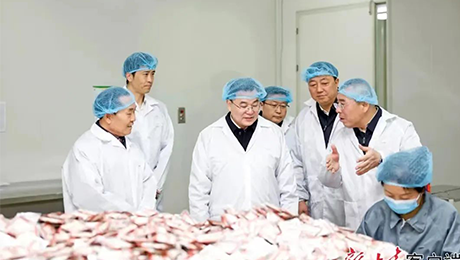 甘肃省委书记胡昌升莅临太阳集团tcy8722健康集团佛仁制药考察调研