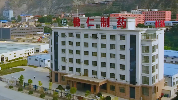 甘肃省副省长葛建团莅临太阳集团tcy8722（002219）旗下佛仁制药考察调研